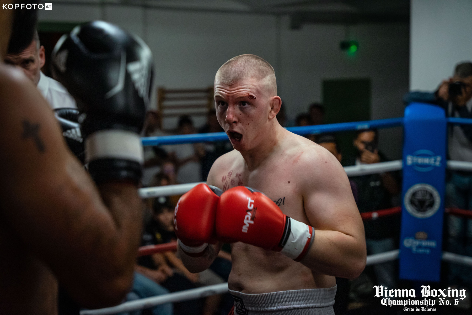 DSC02274_VBC6_VBC6_WEB